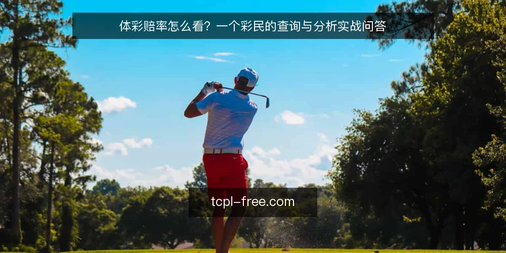 体彩赔率怎么看?一个彩民的查询与分析实战问答 — 场景设定:一个普通彩民的赔率查询需求 配图