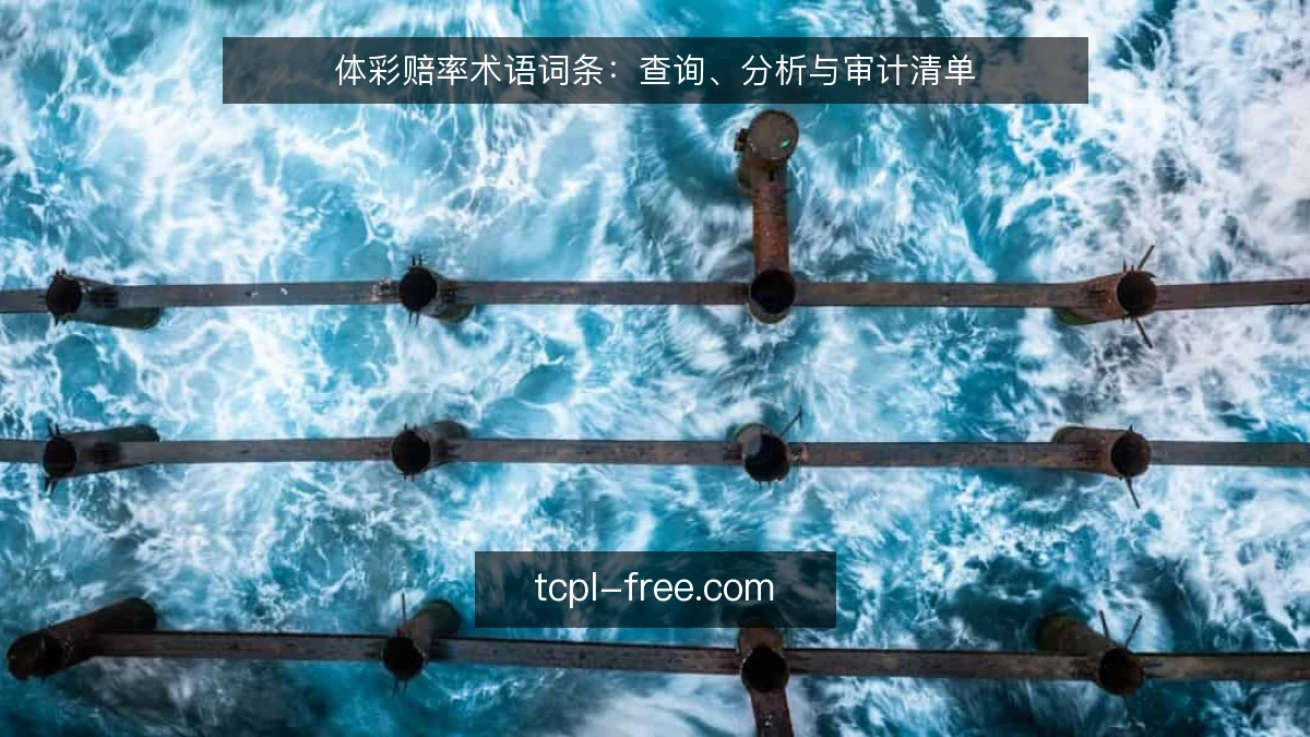 体彩赔率术语词条:查询、分析与审计清单