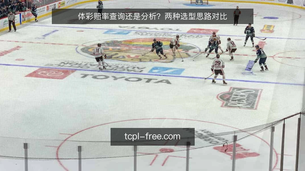 体彩赔率查询还是分析?两种选型思路对比