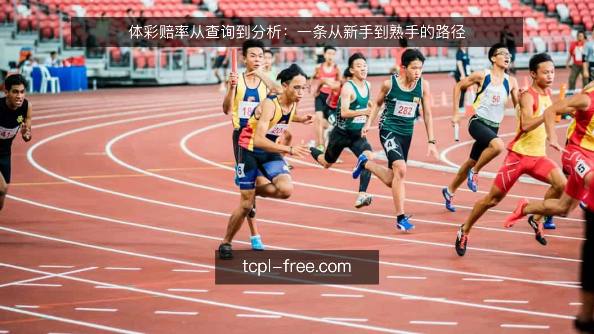体彩赔率从查询到分析：一条从新手到熟手的路径