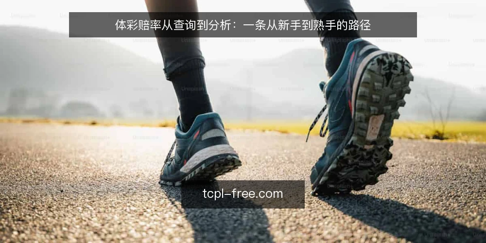 体彩赔率从查询到分析:一条从新手到熟手的路径 — 初识赔率:查询入口的困惑 配图