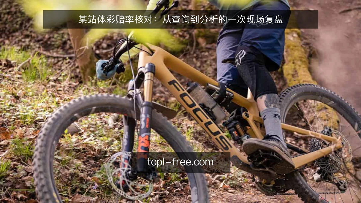 某站体彩赔率核对：从查询到分析的一次现场复盘