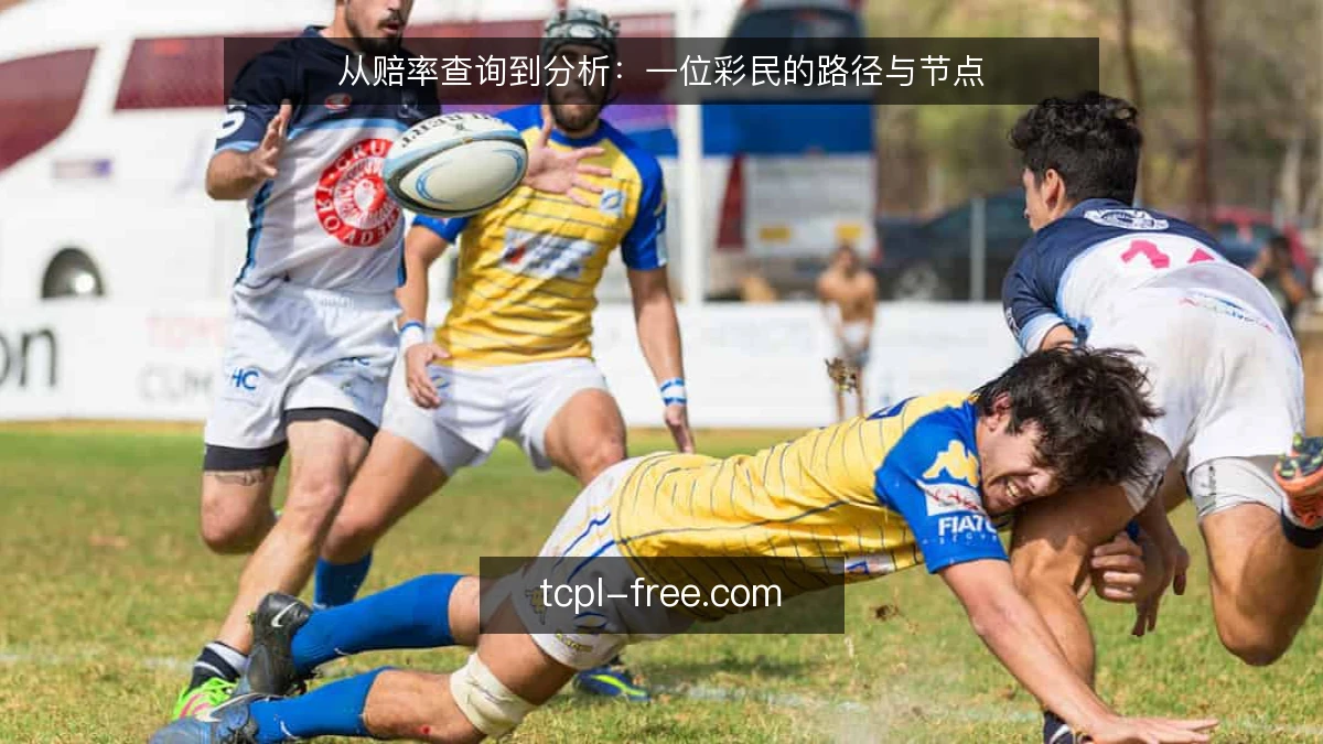 从赔率查询到分析：一位彩民的路径与节点